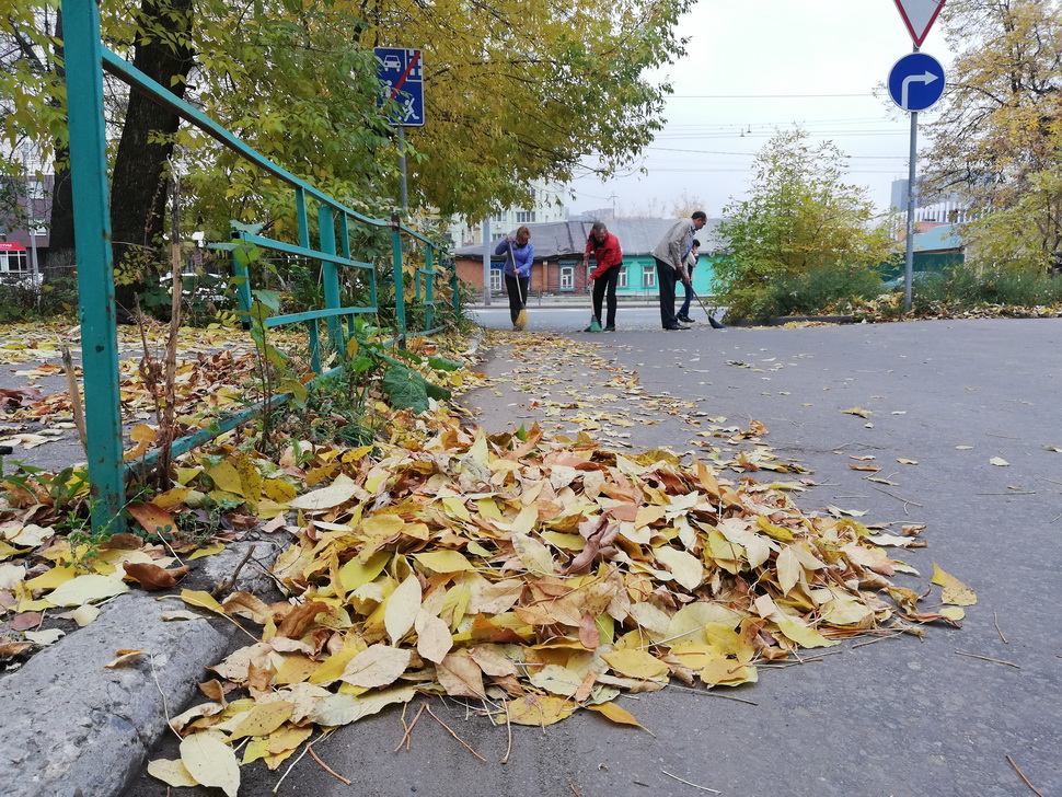 Сотрудники Управления приняли участие в "санитарной пятнице" Сотрудники Управления приняли участие в "санитарной пятнице"
