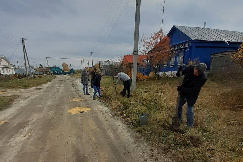 21 278 деревьев высажено за время областного субботника 21 278 деревьев высажено за время областного субботника
