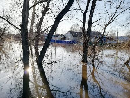 В Нижнем Ломове уровень воды пошёл на спад