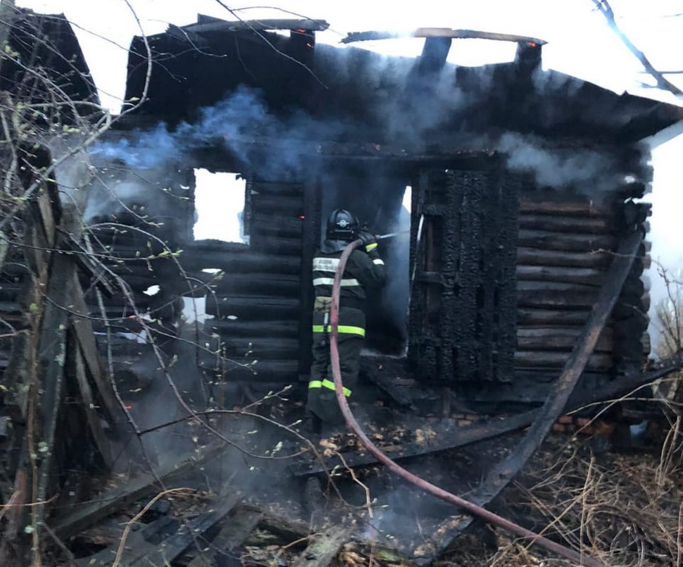 В деревне Васильевка Бессоновского района  ликвидировали возгорание