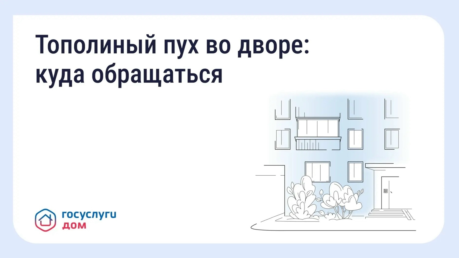 Что делать, если двор заполонил тополиный пух? Что делать, если двор заполонил тополиный пух?