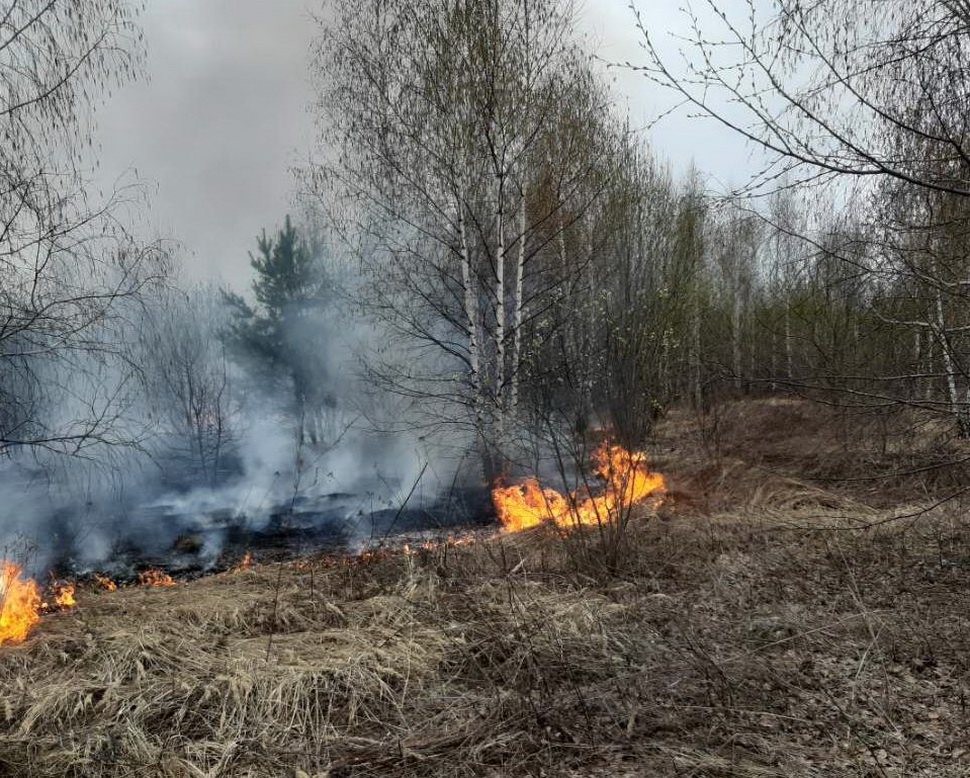 Спасатели-пожарные ГУ ППСЦ ликвидировали возгорания на 5 га 