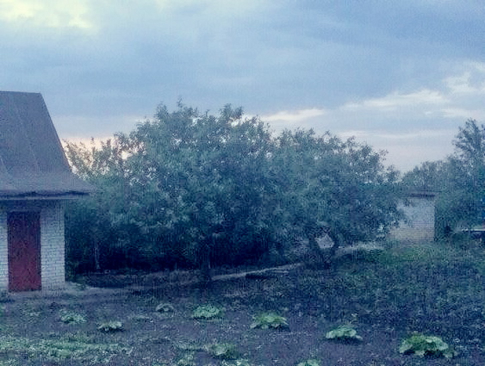 Парализованного мужчину транспортировали до скорой помощи