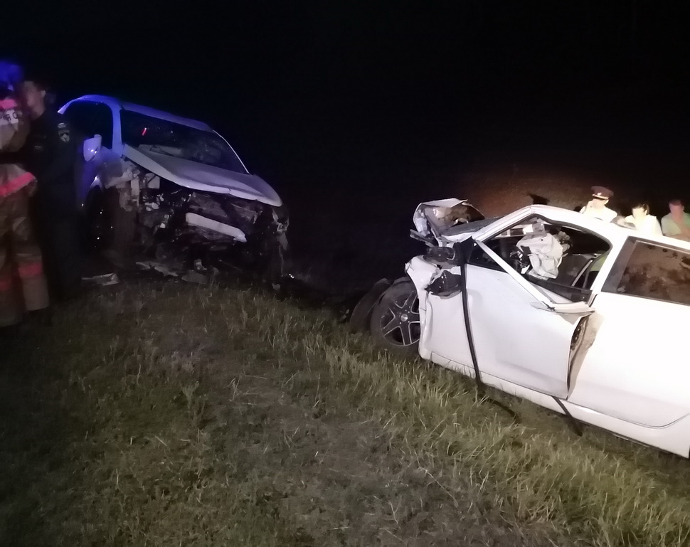 В первых числах сентября спасатели ГУ ППСЦ несколько раз выезжали на вызовы