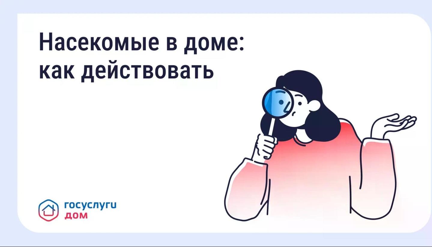 Борьба с насекомыми в многоквартирном доме Борьба с насекомыми в многоквартирном доме