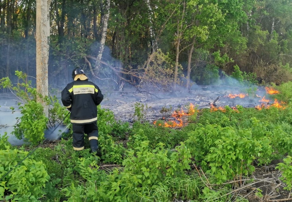 В СНТ «Лесная поляна» ликвидировали возгорание сухой травы