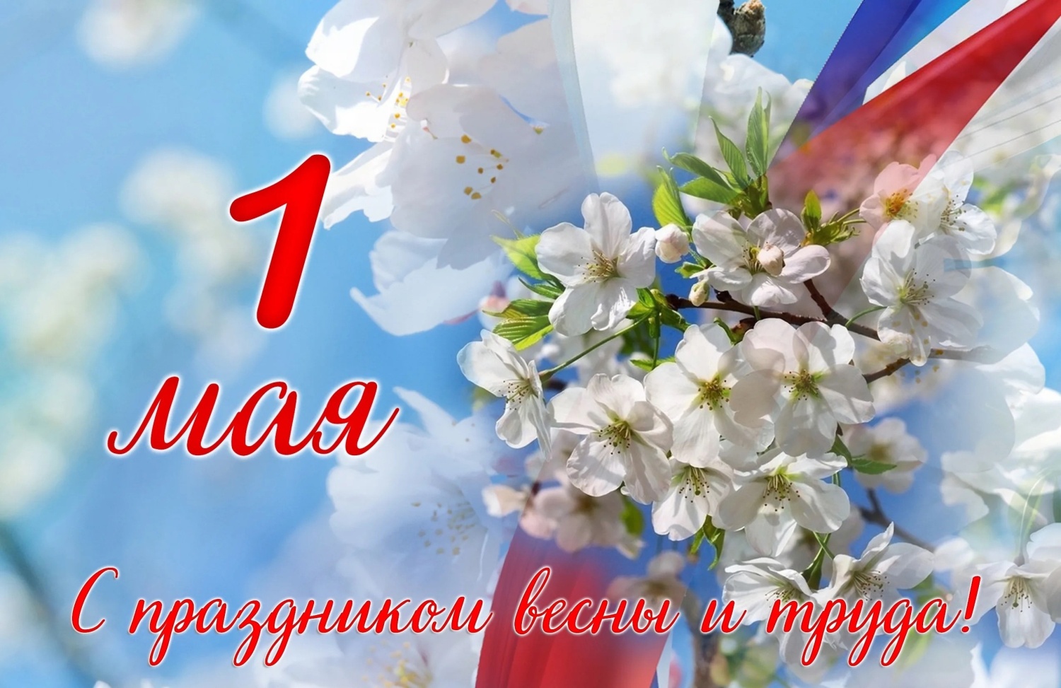 Поздравление врио Министра с 1 Мая — Праздником Весны и Труда! Поздравление врио Министра с 1 Мая — Праздником Весны и Труда!