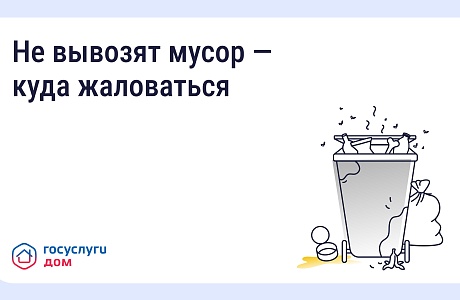 Не вывозят мусор — куда жаловаться? Не вывозят мусор — куда жаловаться?