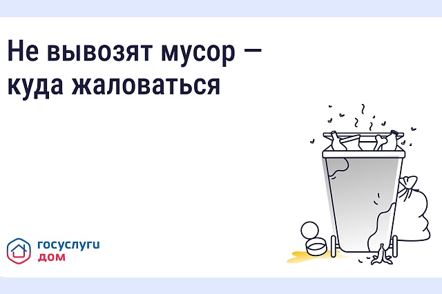 Не вывозят мусор — куда жаловаться?